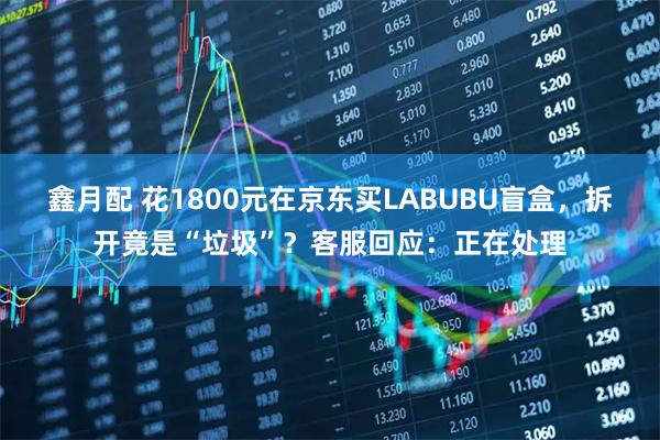 鑫月配 花1800元在京东买LABUBU盲盒，拆开竟是“垃圾”？客服回应：正在处理