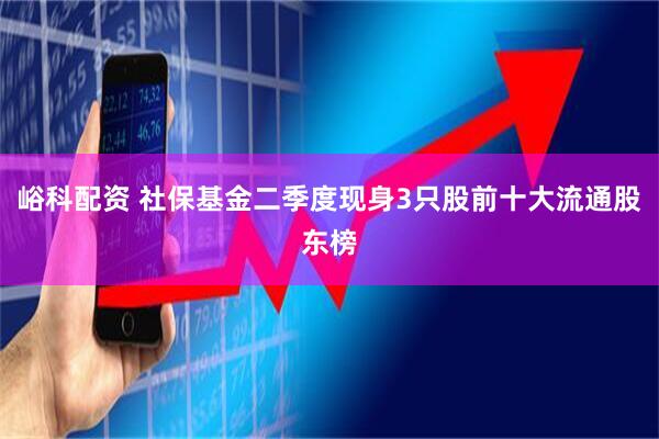 峪科配资 社保基金二季度现身3只股前十大流通股东榜