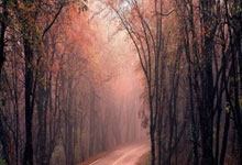 玩股如何加杠杆:可以股票交易的手机-华尔街最乐观预测！Evercore ISI：AI热潮将推动美股明年再涨20%